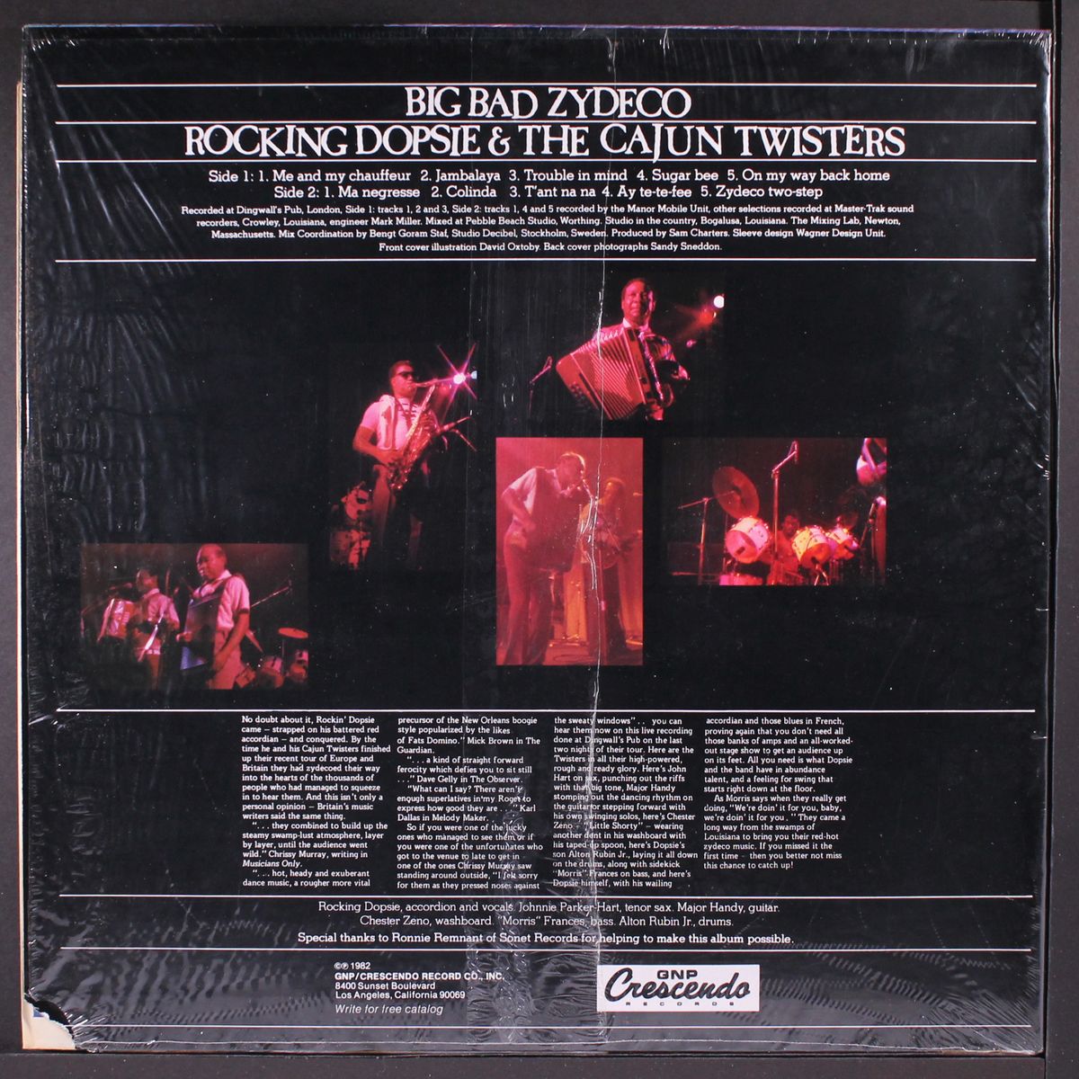 big bad zydeco by ROCKING DOPSIE