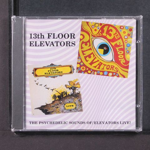 13TH FLOOR ELEVATORS