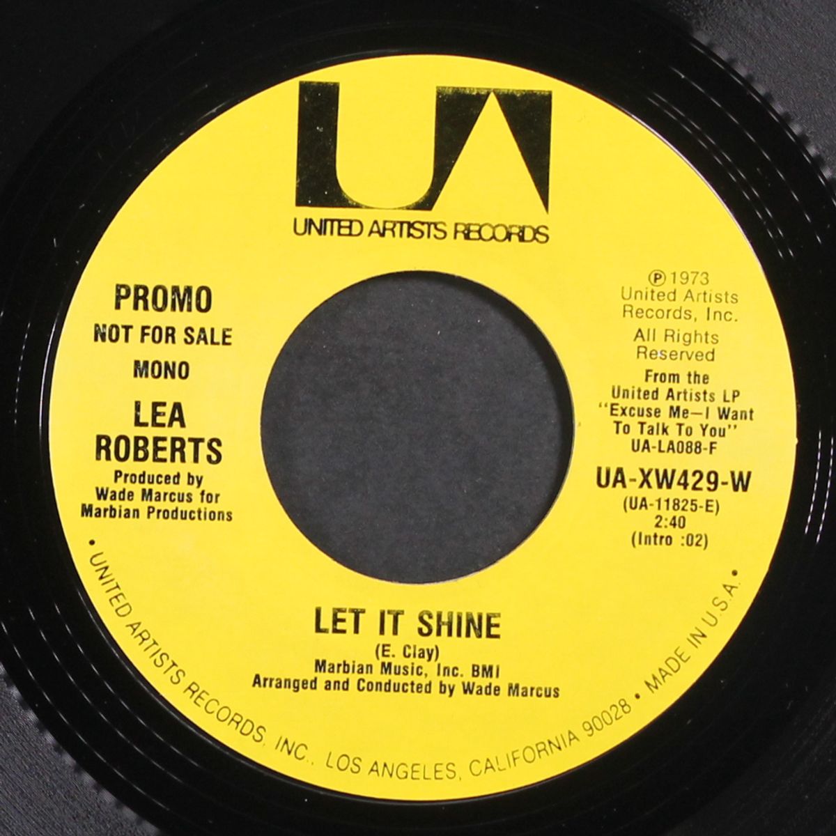 let it shine / mono by LEA ROBERTS