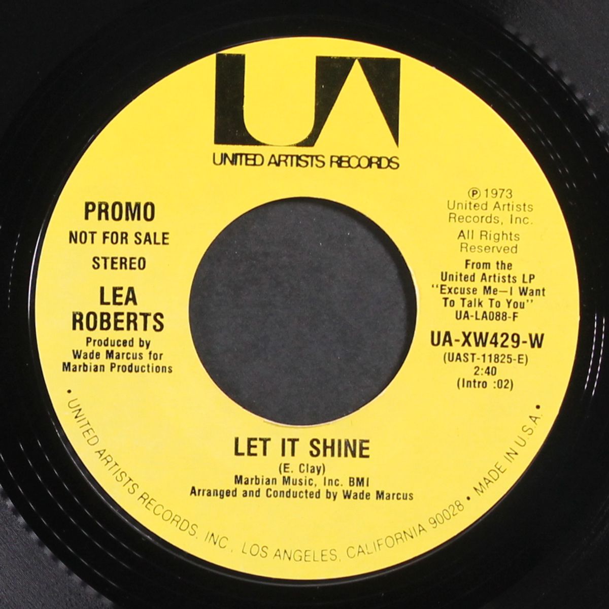 let it shine / mono by LEA ROBERTS