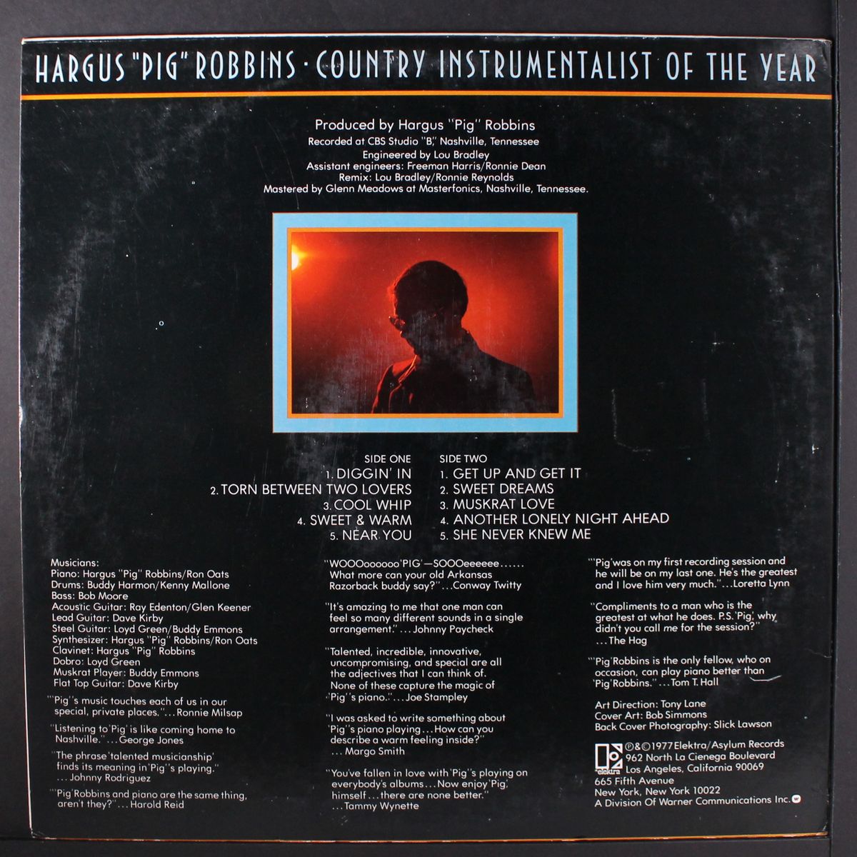 country instrumentalist of the year by HARGUS 'PIG' ROBBINS