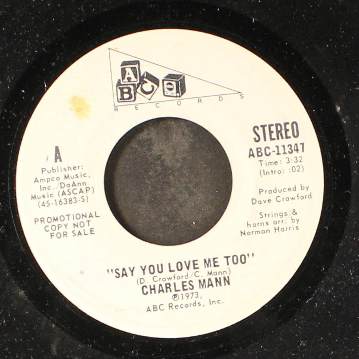 say you love me too / mono by CHARLES MANN