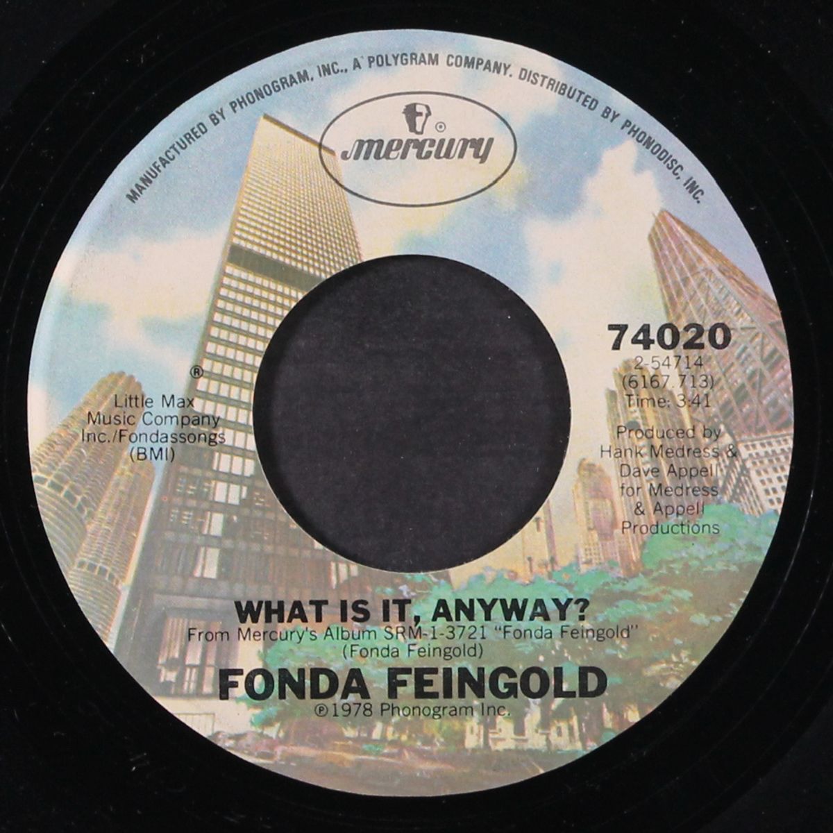day dreamin' / what is it anyway by FONDA FEINGOLD