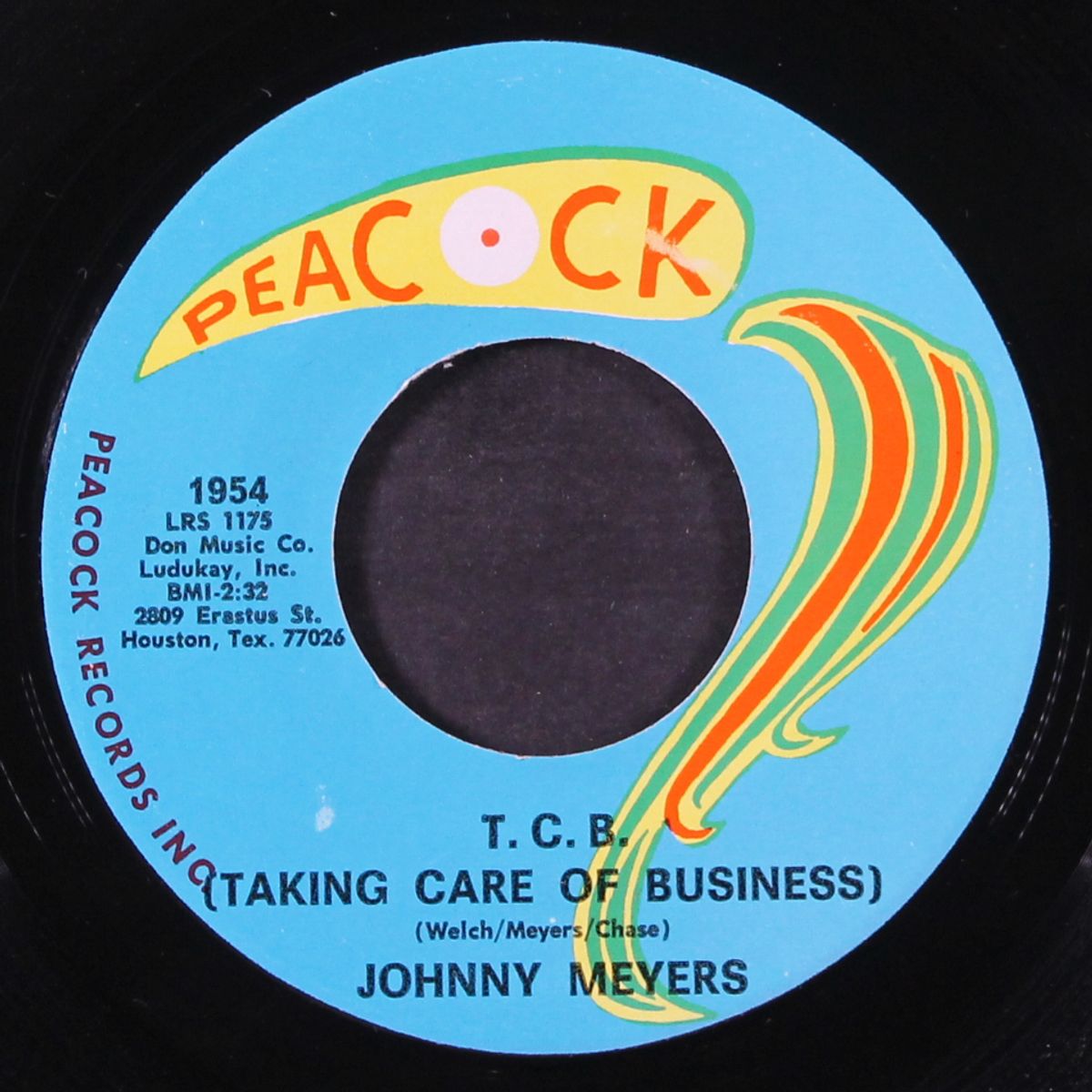t.c.b. / teenage girl by JOHNNY MEYERS