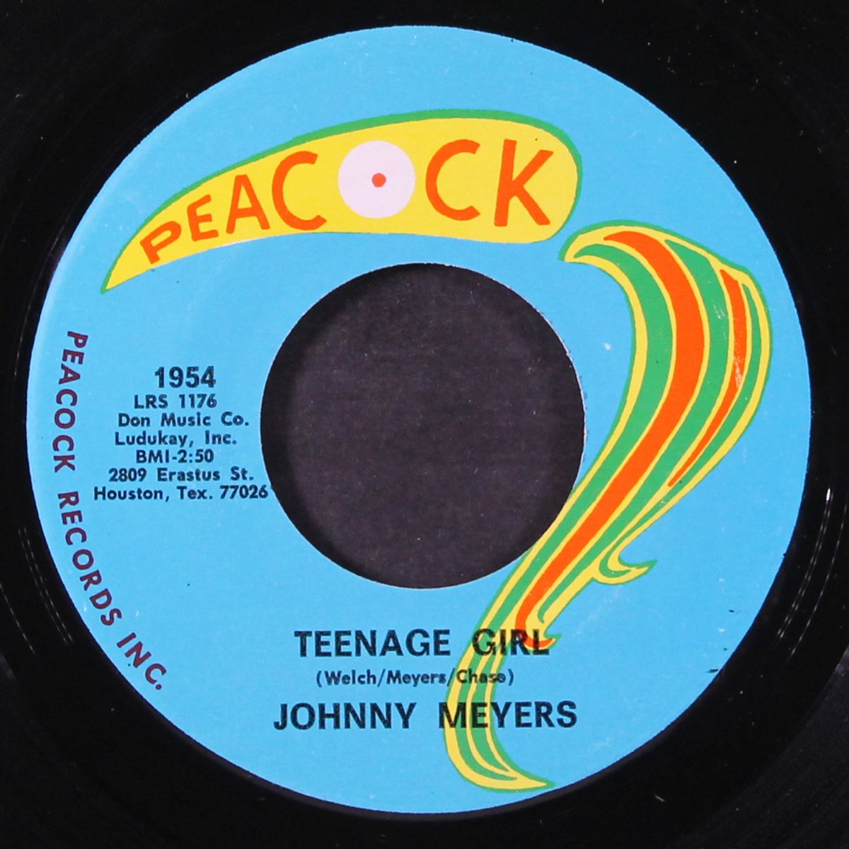 t.c.b. / teenage girl by JOHNNY MEYERS