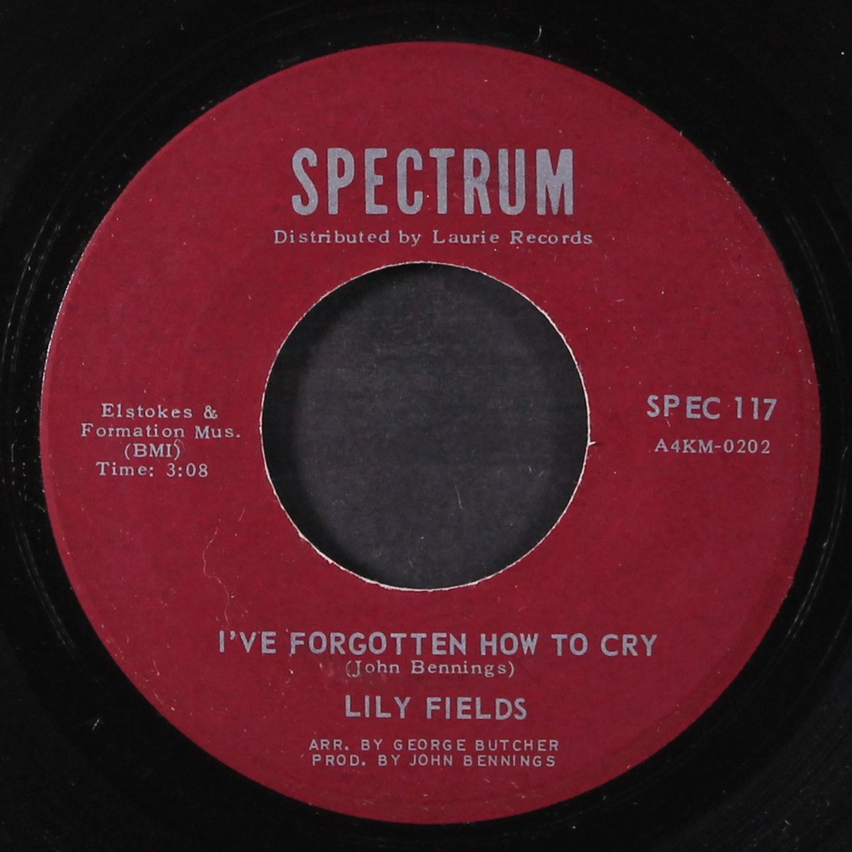 i'll get along somehow / i've forgotten how to cry by LILY FIELDS