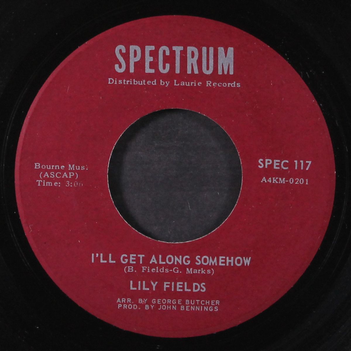 i'll get along somehow / i've forgotten how to cry by LILY FIELDS