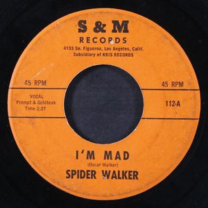 SPIDER WALKER