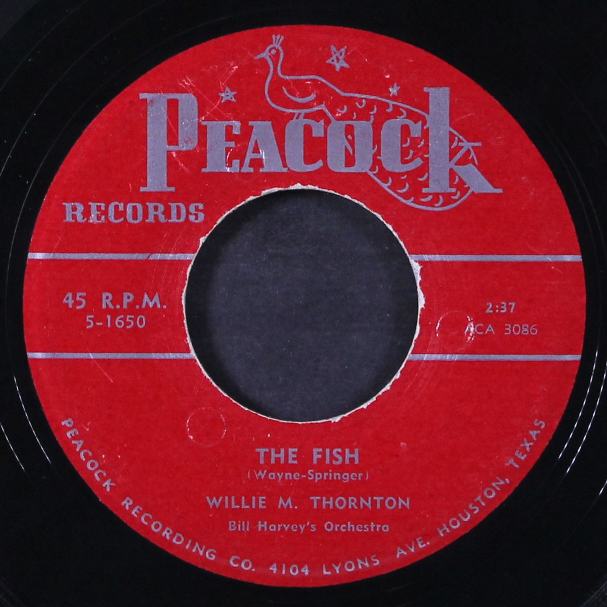 laugh, laugh, laugh / the fish by WILLIE M. THORNTON