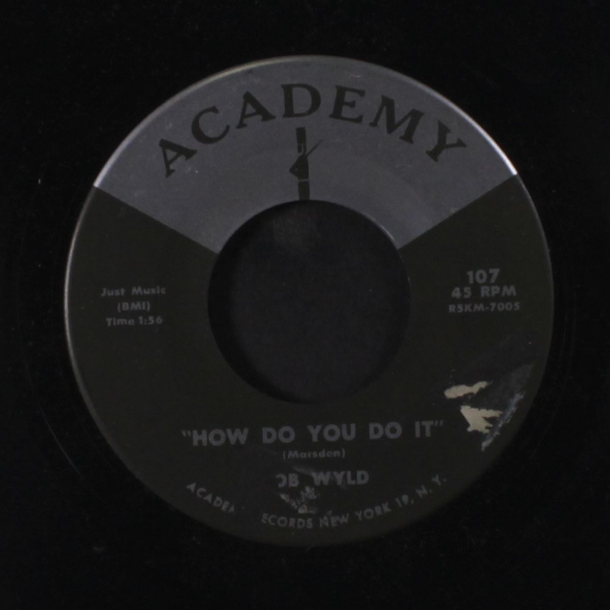 how do you do it / roses are blooming by BOB WYLD