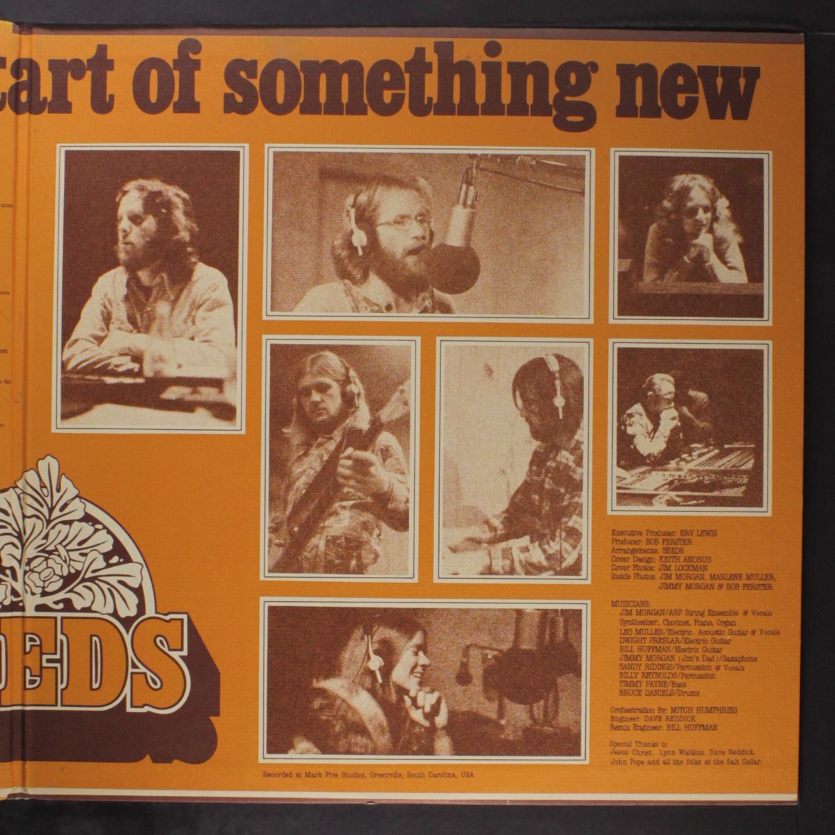 this could be the start of something new by SEEDS