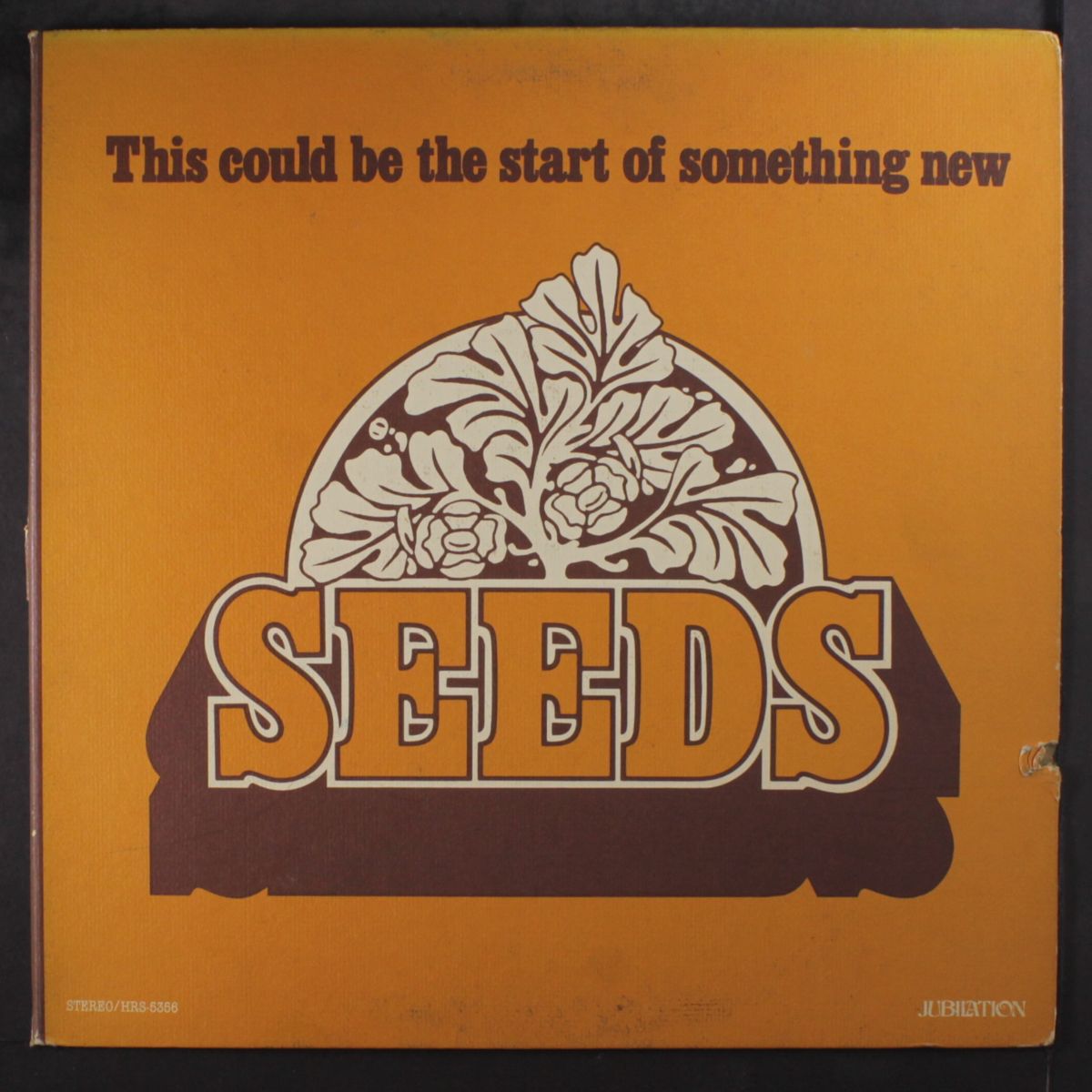 this could be the start of something new by SEEDS