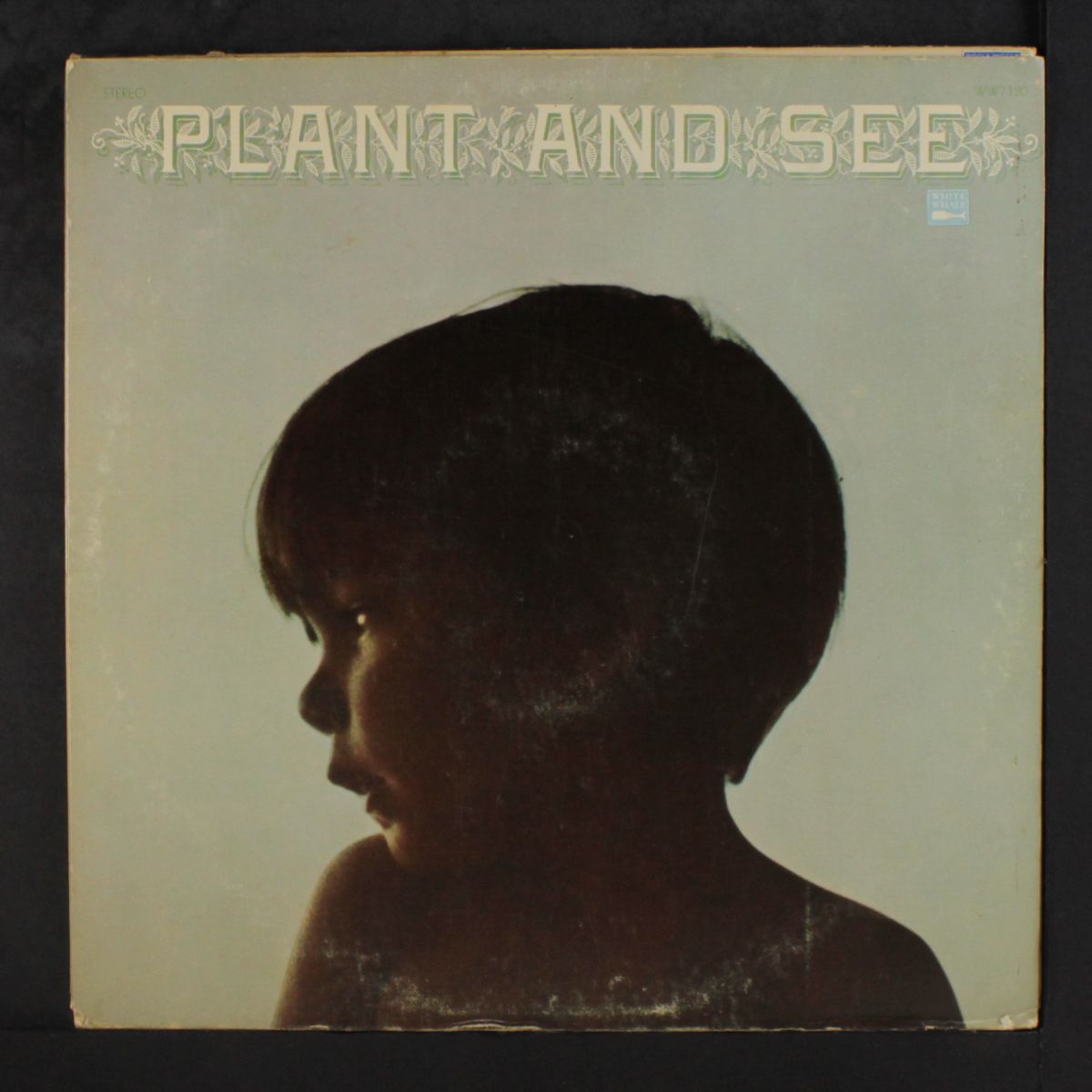 plant & see by PLANT & SEE