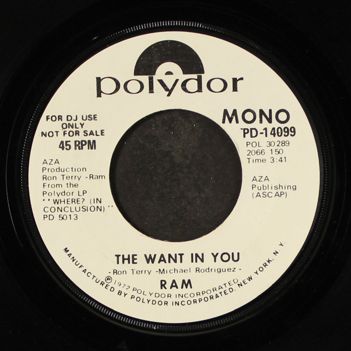 the want in you / mono by RAM