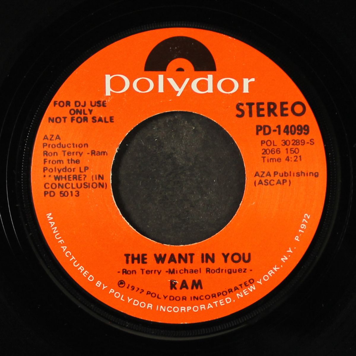 the want in you / mono by RAM