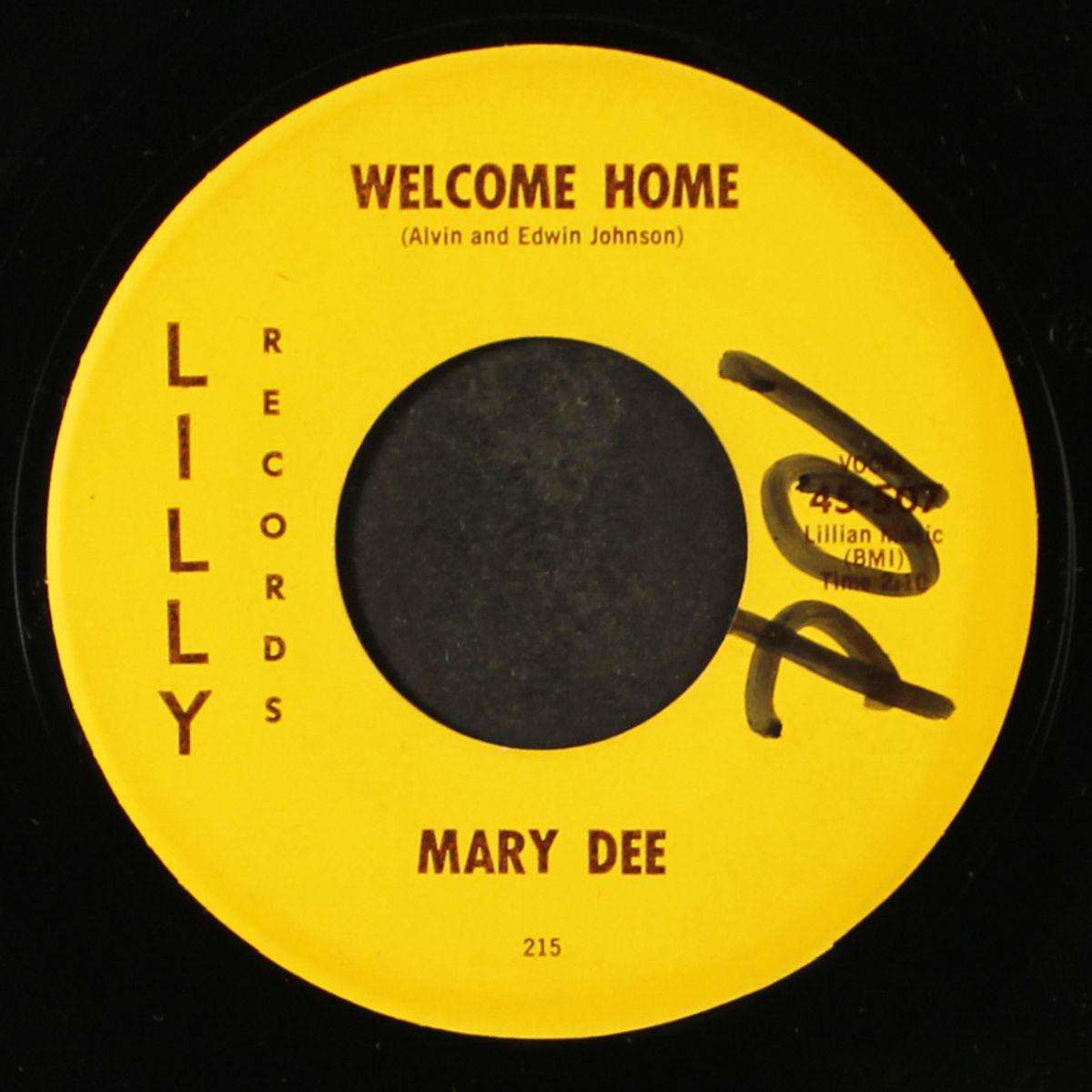 welcome home / the big dream by MARY DEE