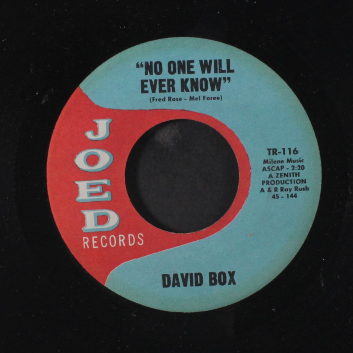little lonely summer girl / no one will ever know by DAVID BOX