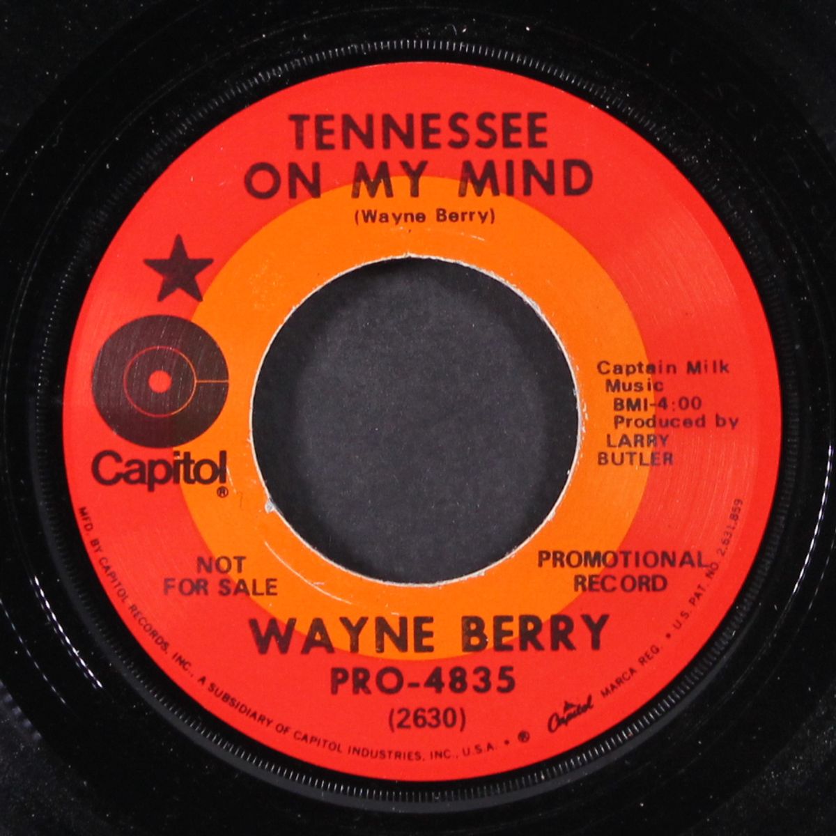 tennessee on my mind / blind too long by WAYNE BERRY