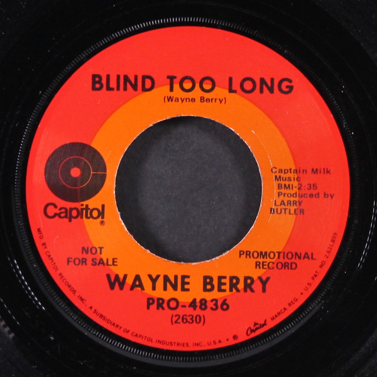 tennessee on my mind / blind too long by WAYNE BERRY