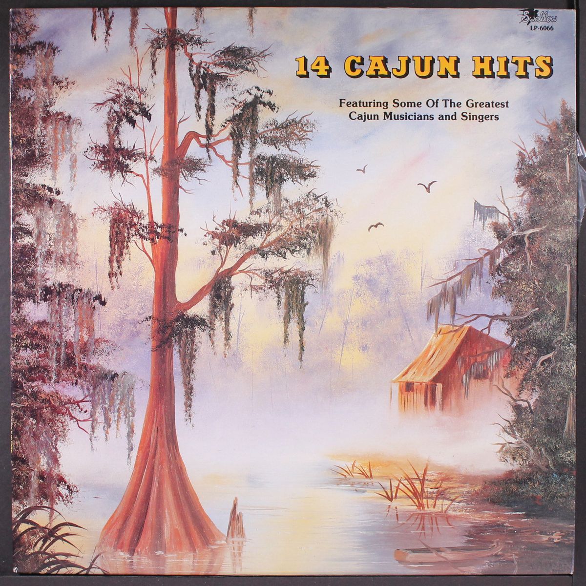 14 cajun hits by VARIOUS