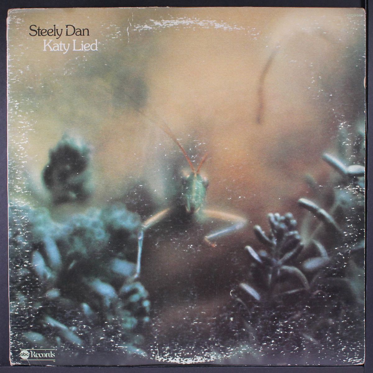 katy lied by STEELY DAN