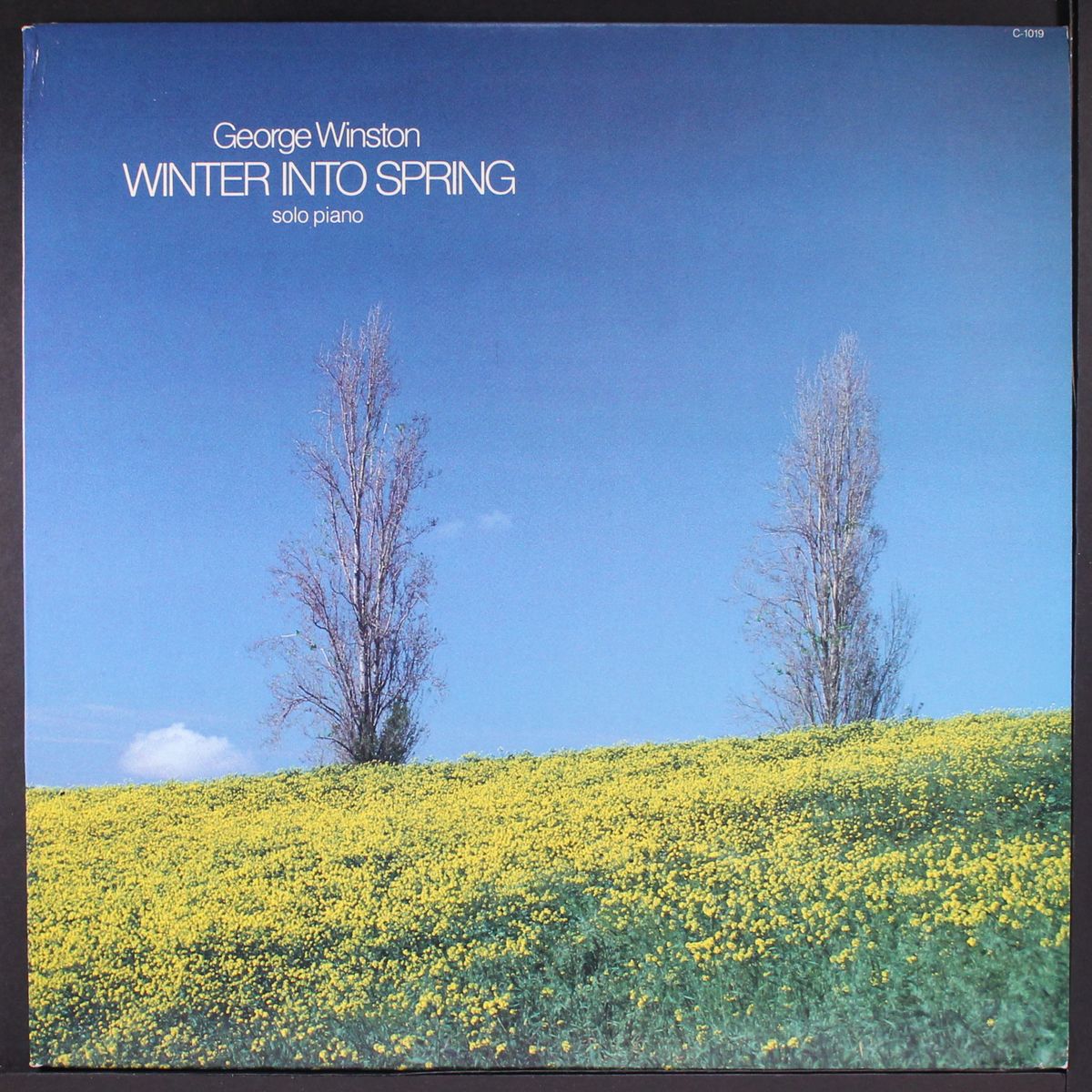 winter into spring by GEORGE WINSTON