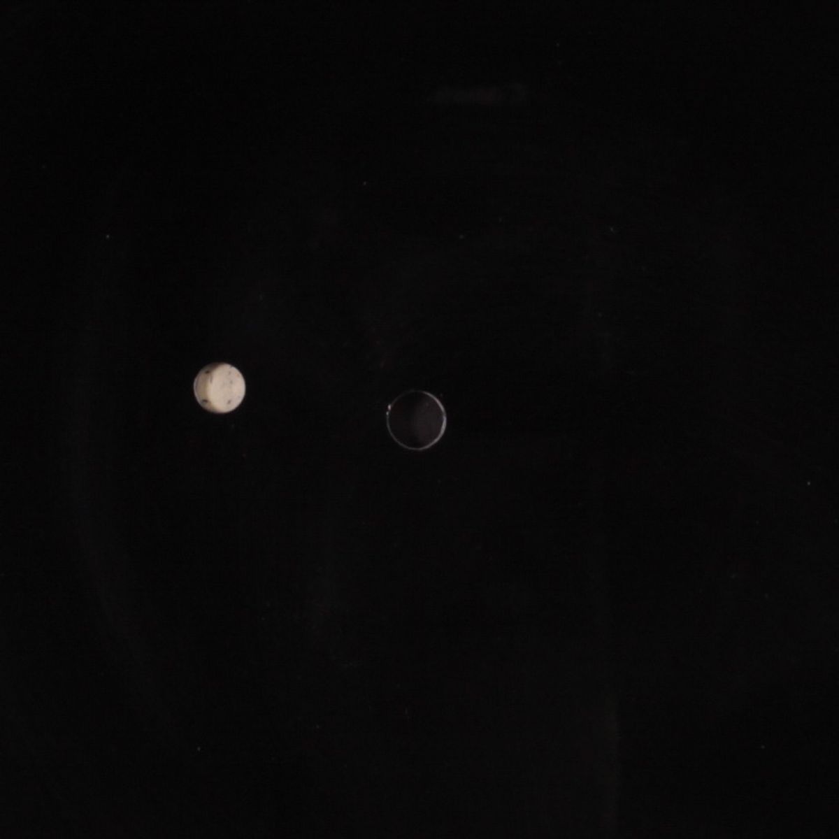 lonely / blank by ED BOZE