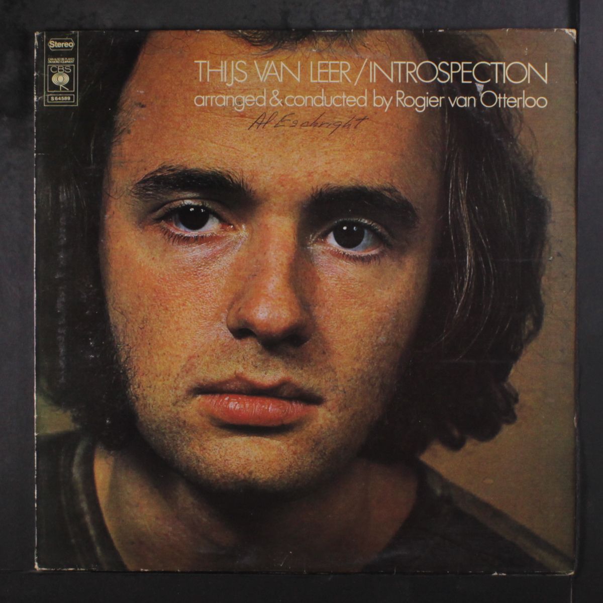 introspection by THIJS VAN LEER