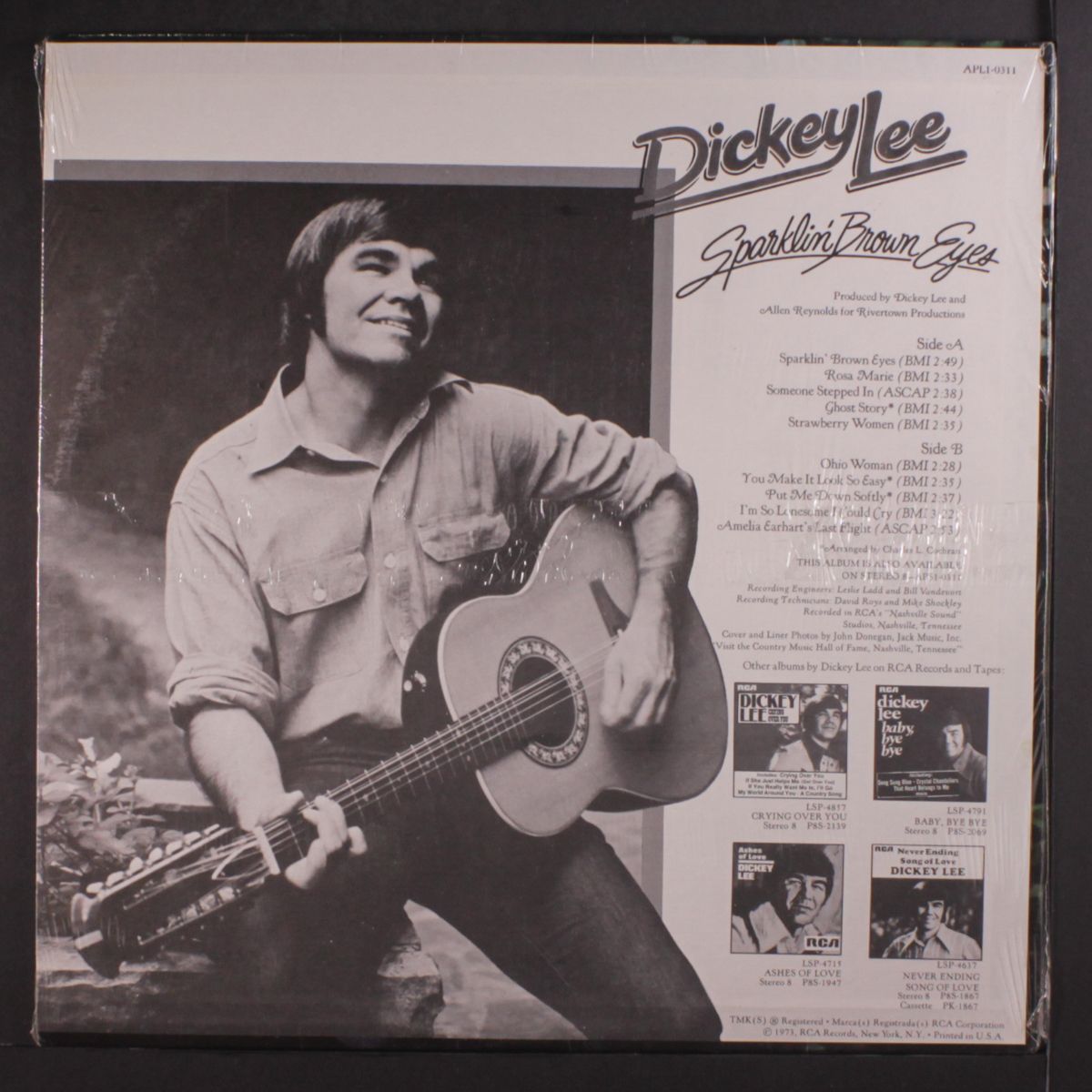 sparkling brown eyes by DICKY LEE