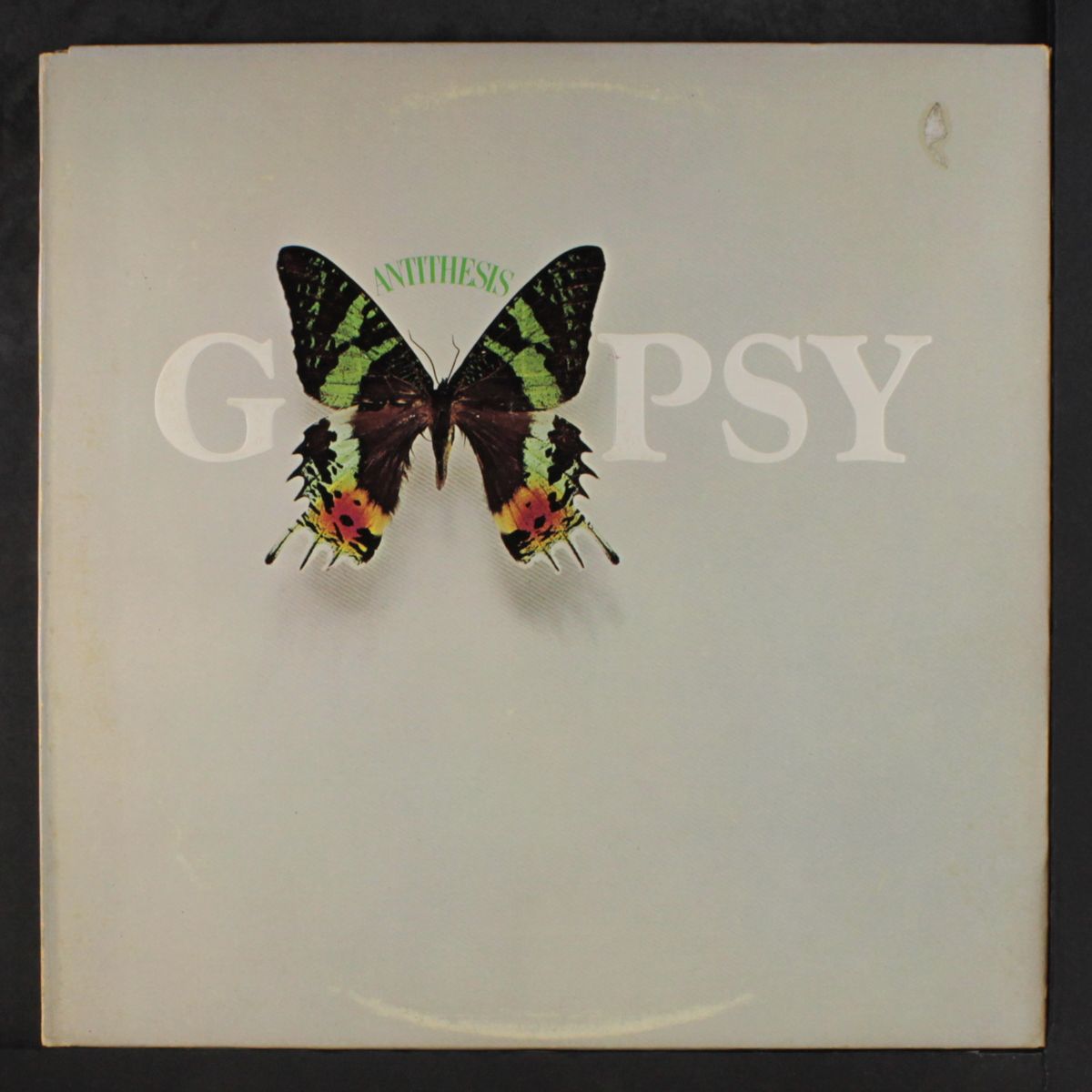 antithesis by GYPSY