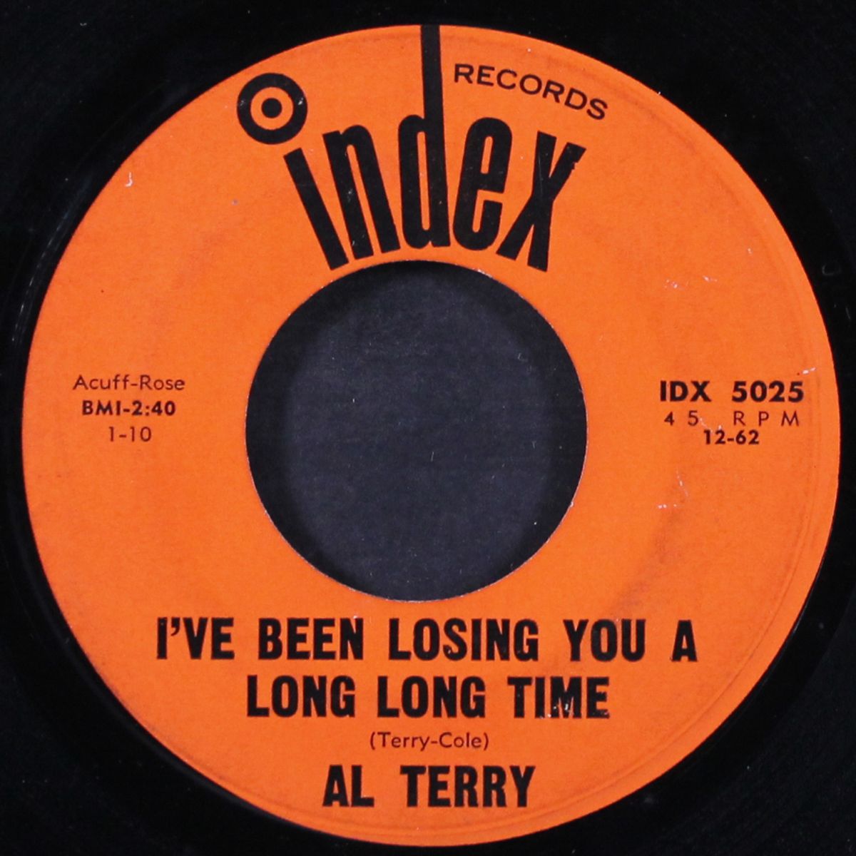 i've been losing you a long long time / i saw the enemy today by AL TERRY