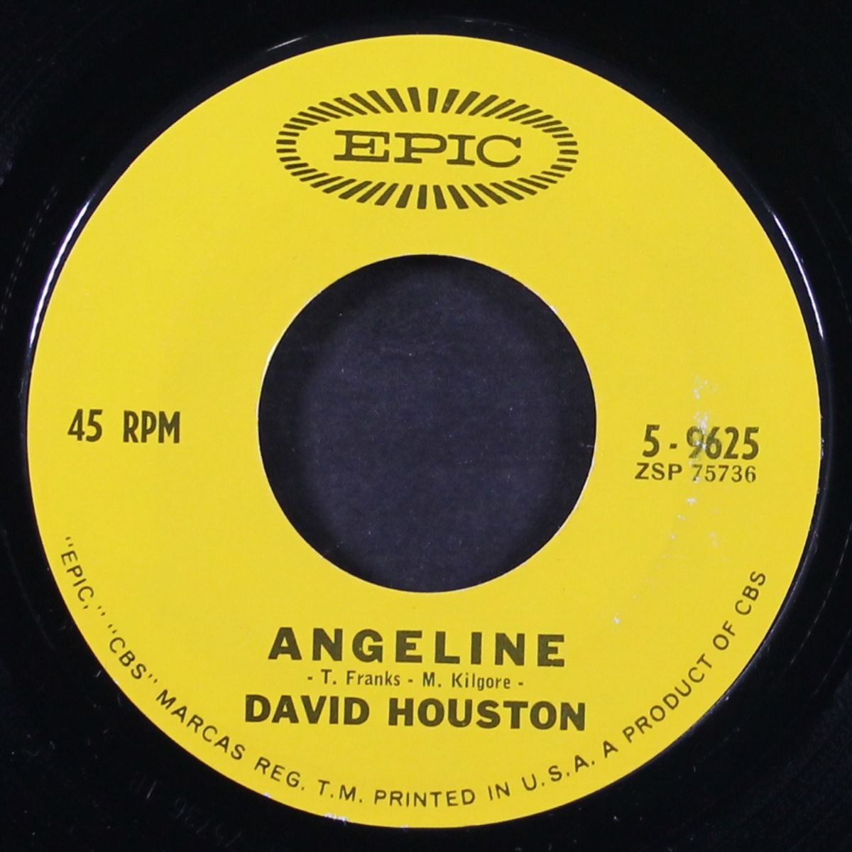mountain of love / angeline by DAVID HOUSTON