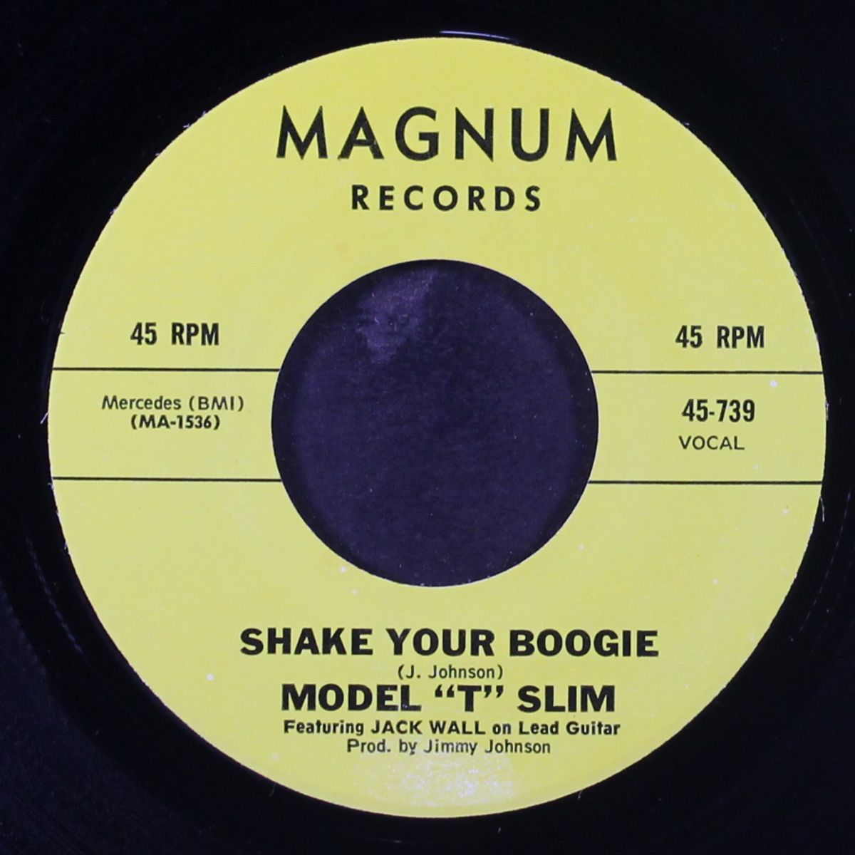 shake your boogie / jackson, tennessee by MODEL 'T' SLIM