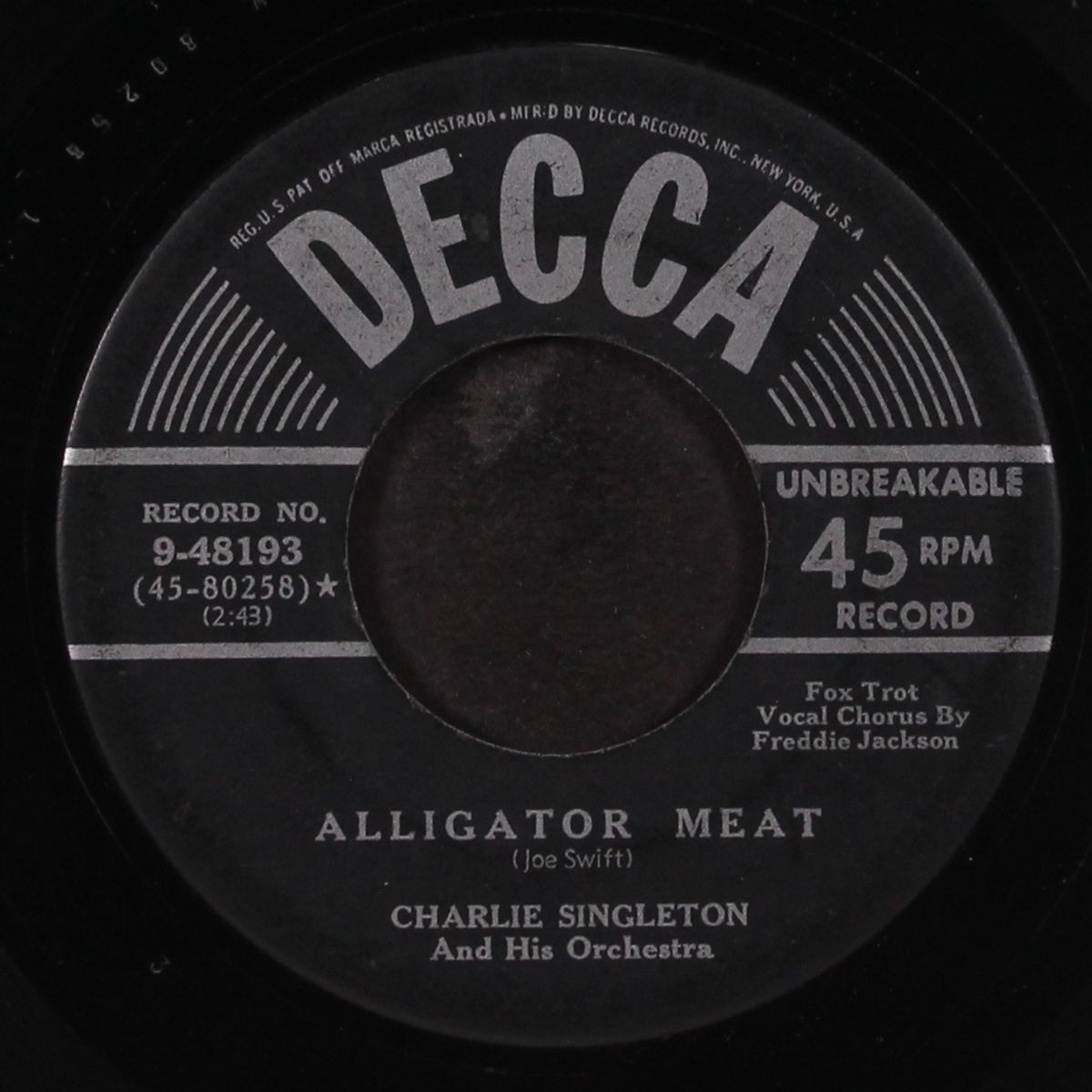 elephant rock / alligator meat by CHARLIE SINGLETON