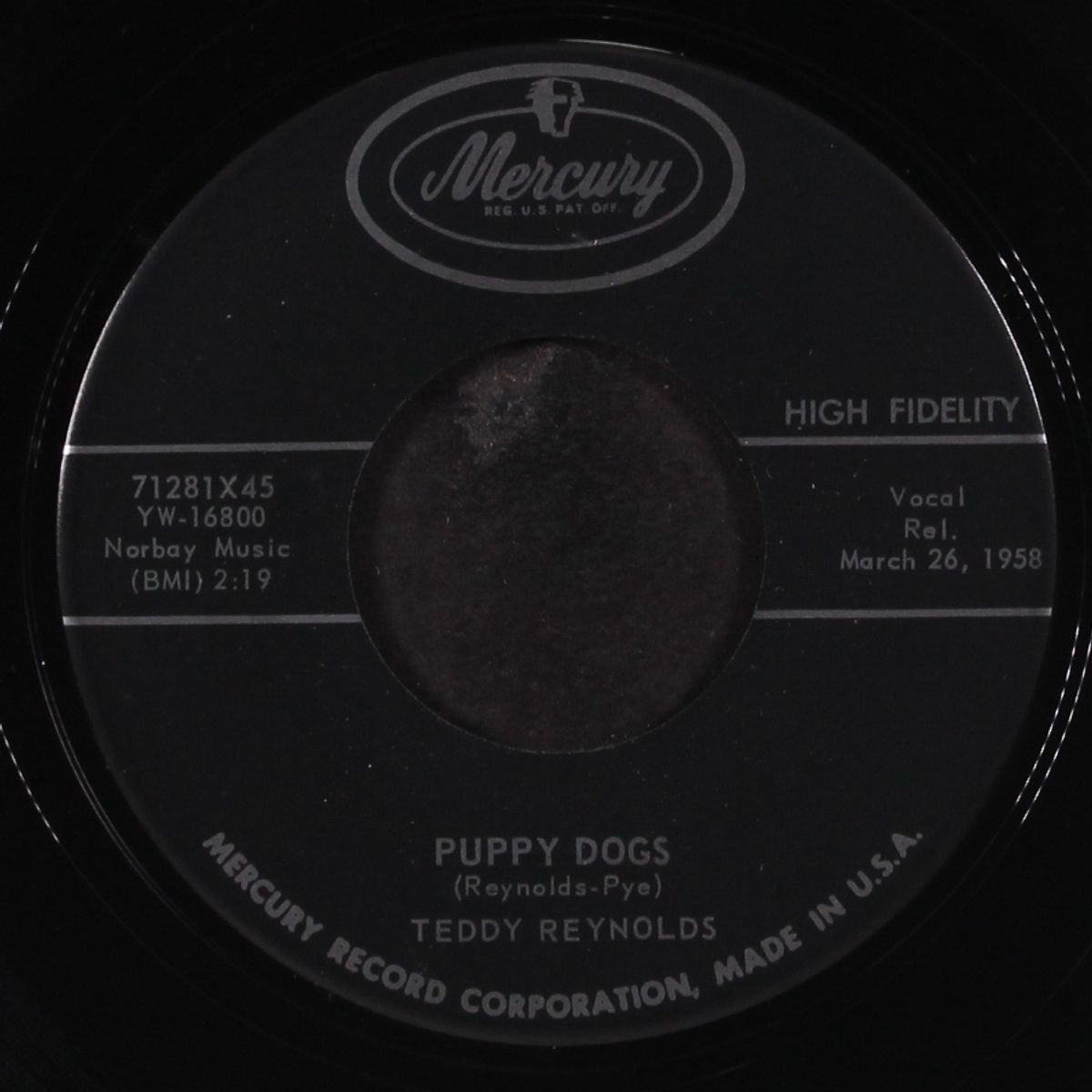 puppy dogs by TEDDY REYNOLDS