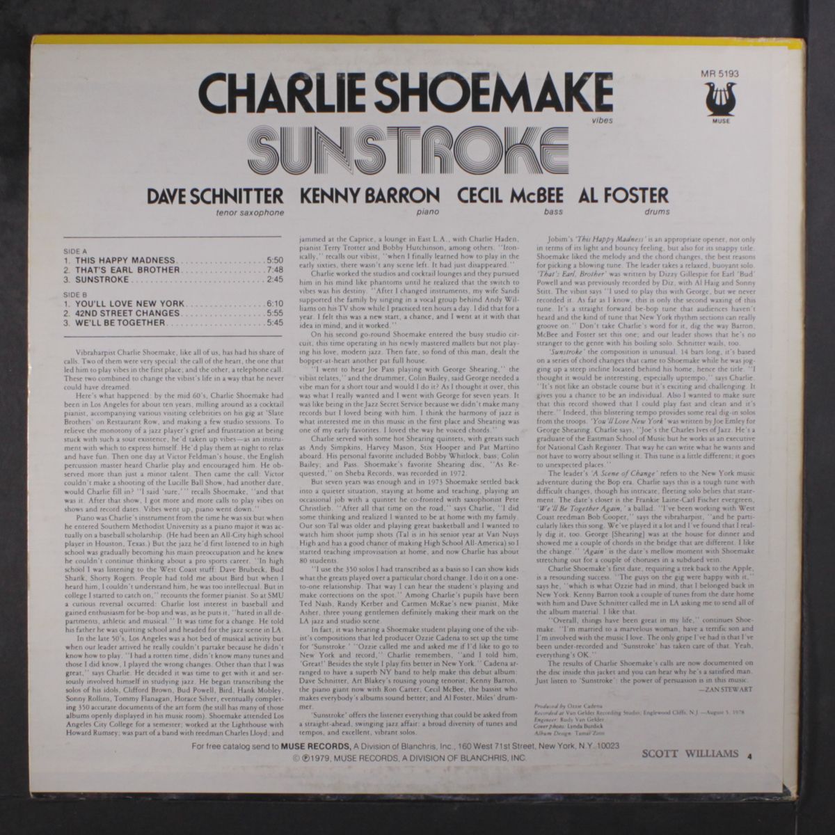 sunstroke by CHARLIE SHOEMAKE