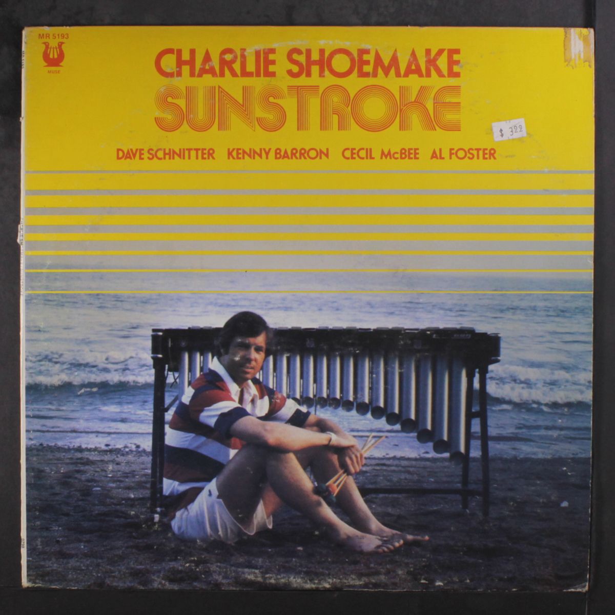 sunstroke by CHARLIE SHOEMAKE