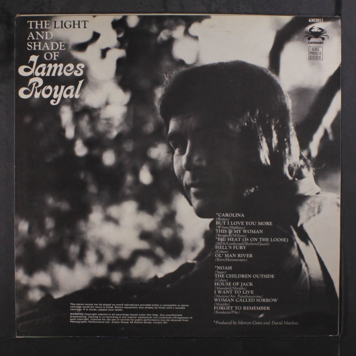 the light and shade of by JAMES ROYAL