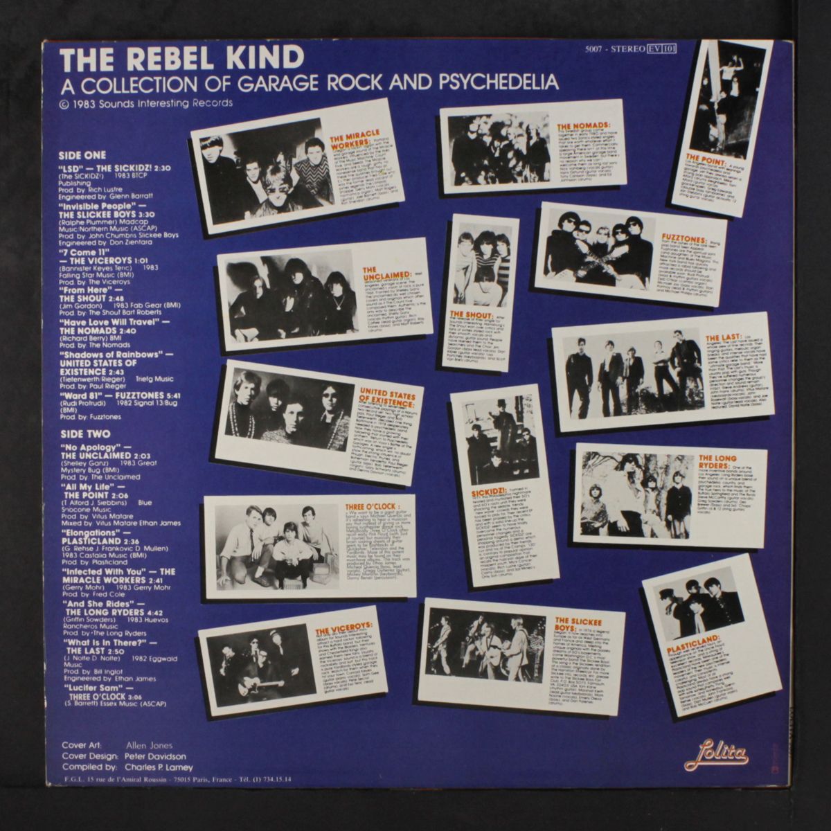 the rebel kind by VARIOUS