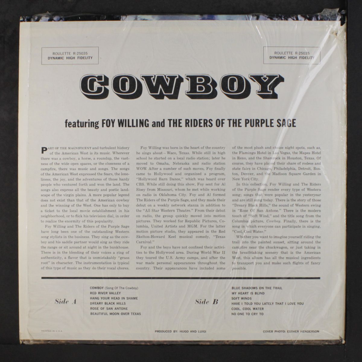 cowboy by FOY WILLING