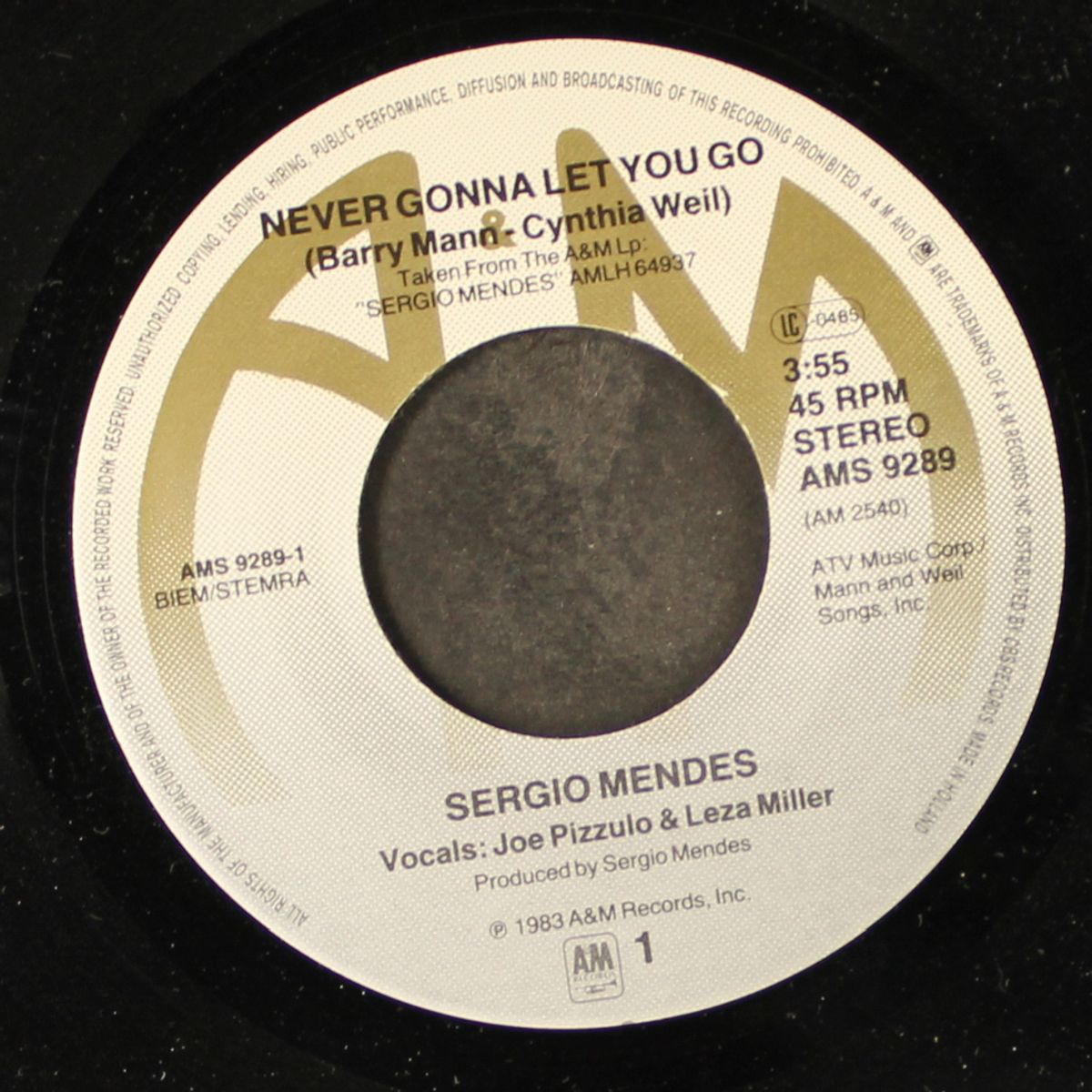 never gonna let you go / carnaval by SERGIO MENDES