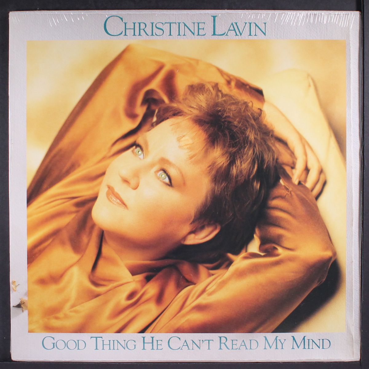 good thing he can't read my mind by CHRISTINE LAVIN