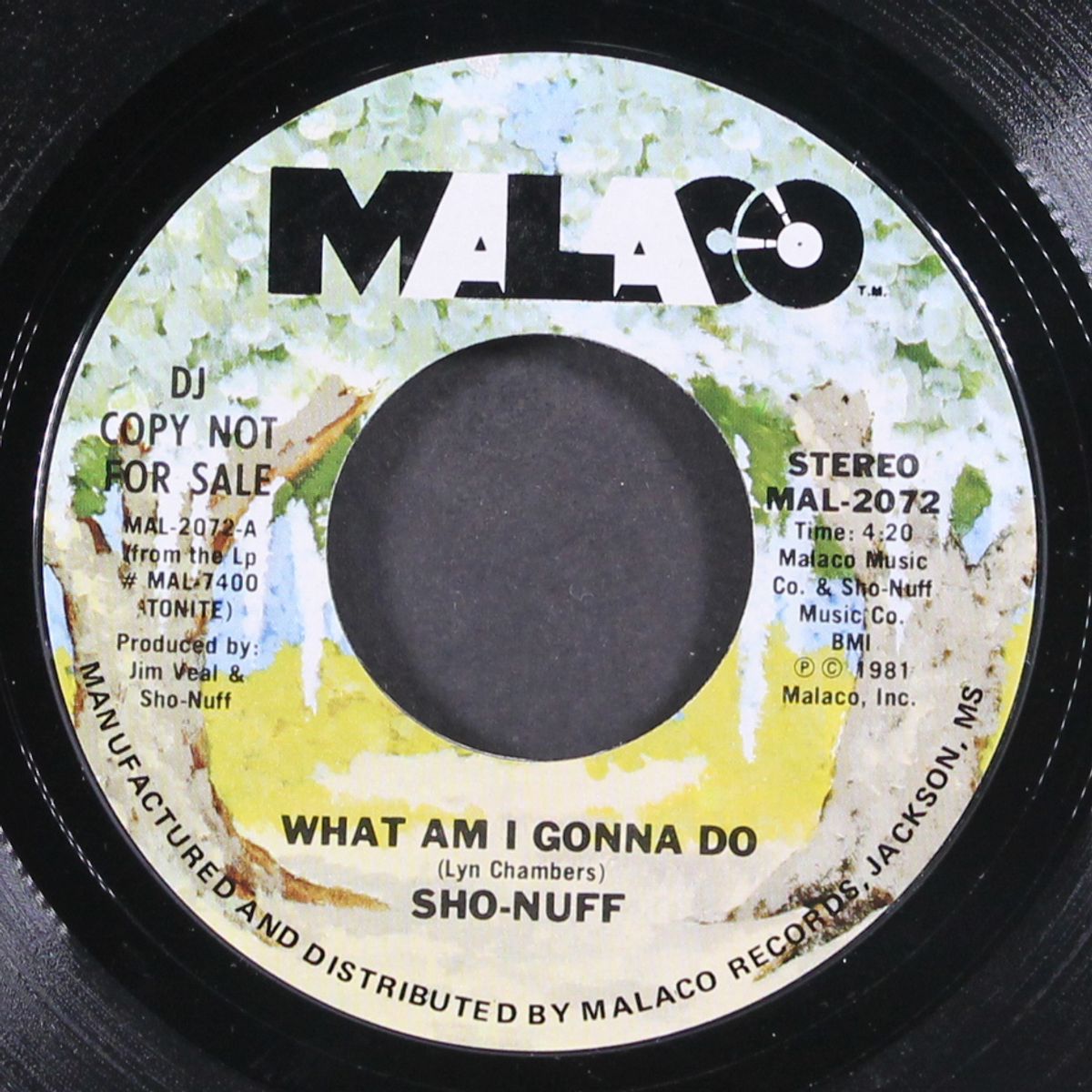 what am i gonna do by SHO-NUFF
