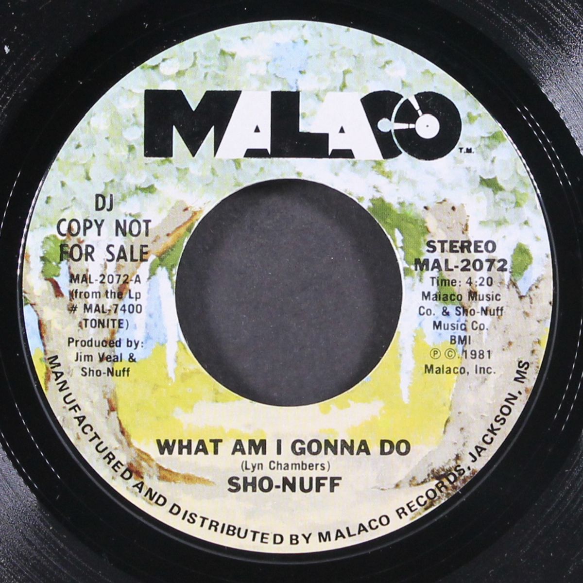 what am i gonna do by SHO-NUFF
