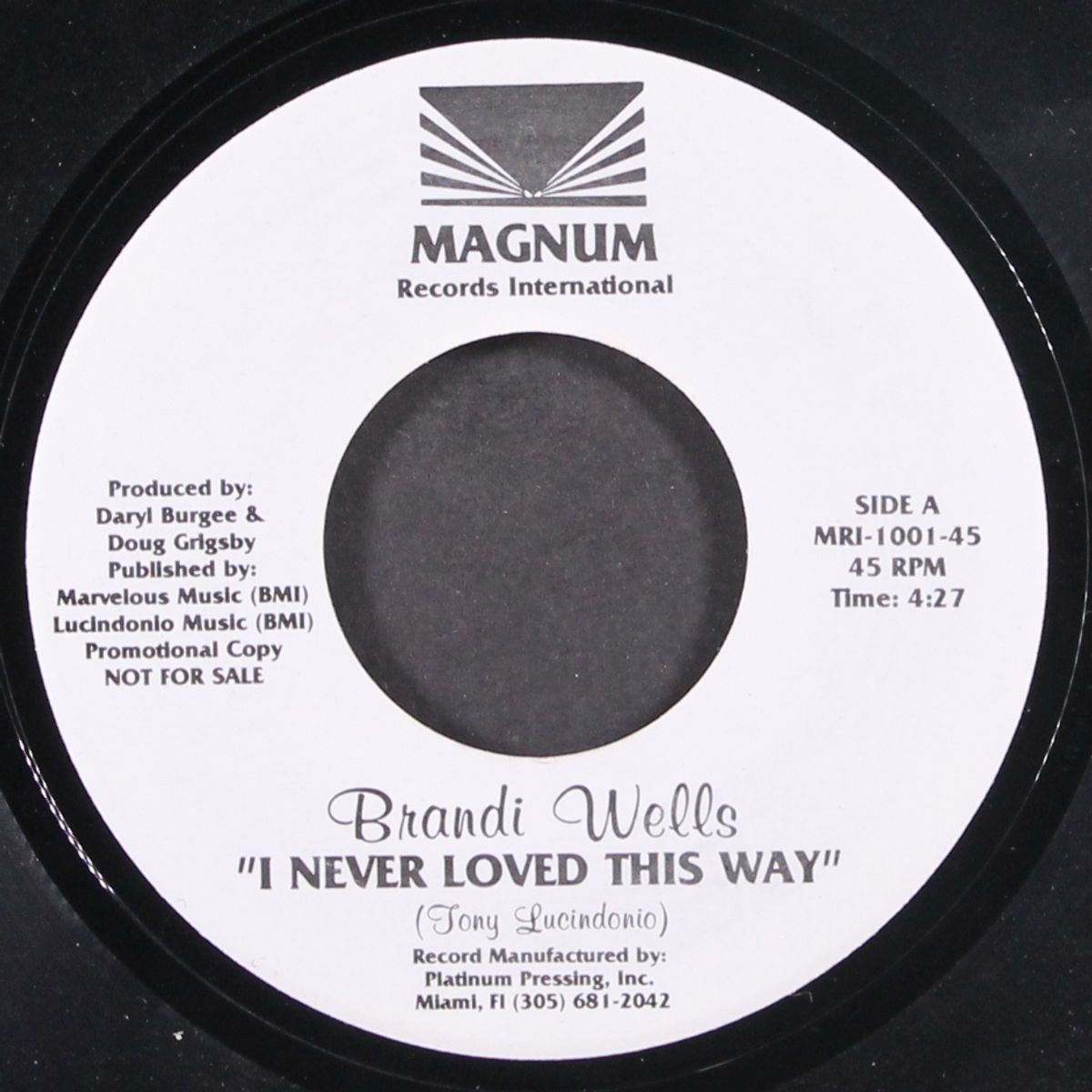 i never loved this way by BRANDI WELLS