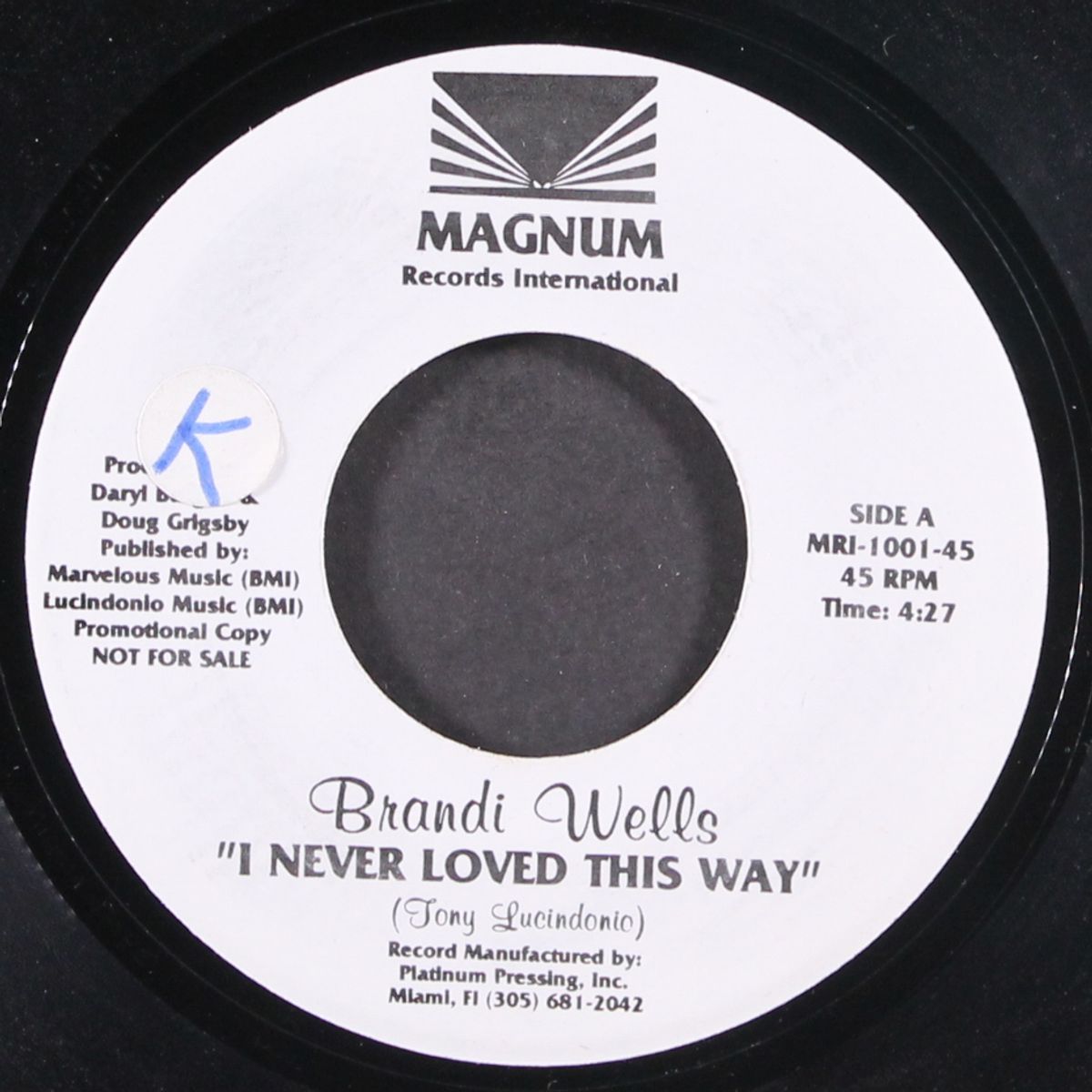 i never loved this way by BRANDI WELLS