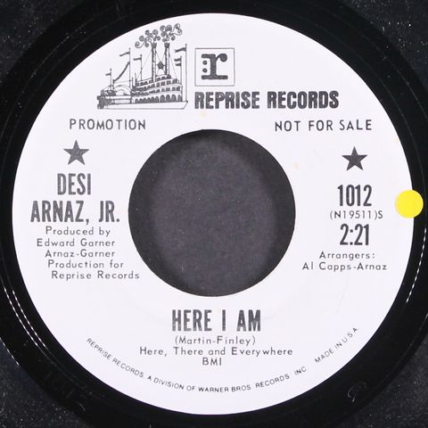 DESI ARNAZ JR.