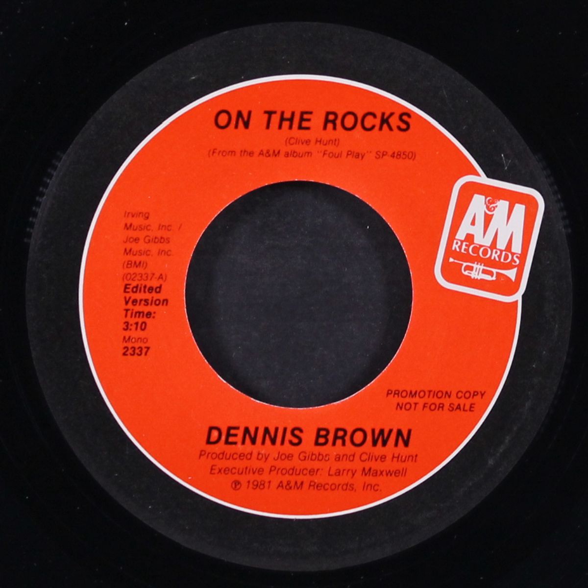 on the rocks / mono by DENNIS BROWN