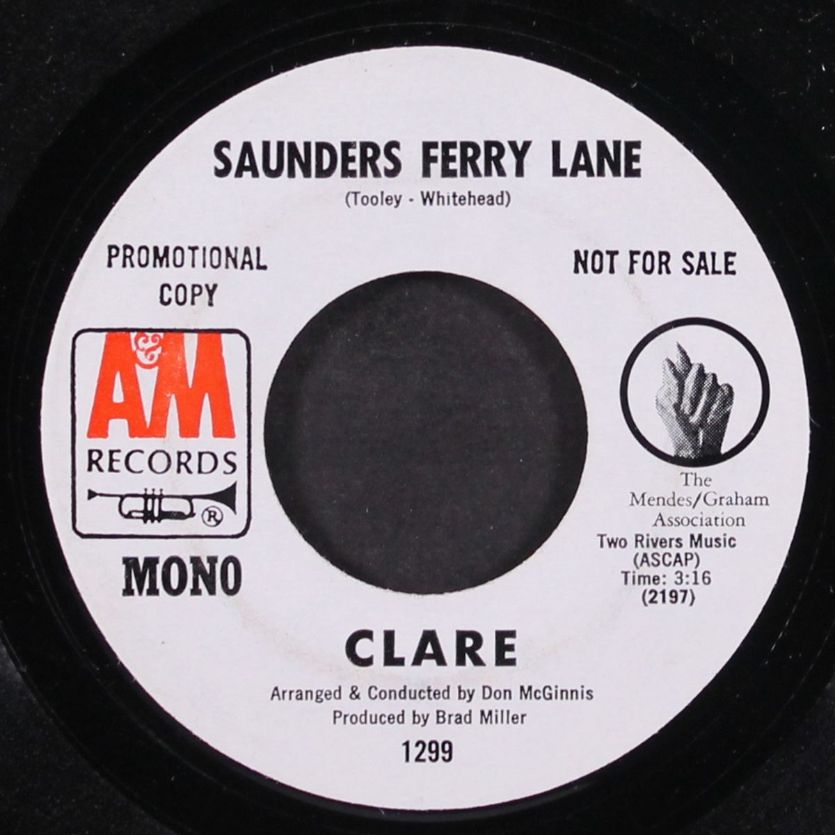 saunders ferry lane / mono by CLARE