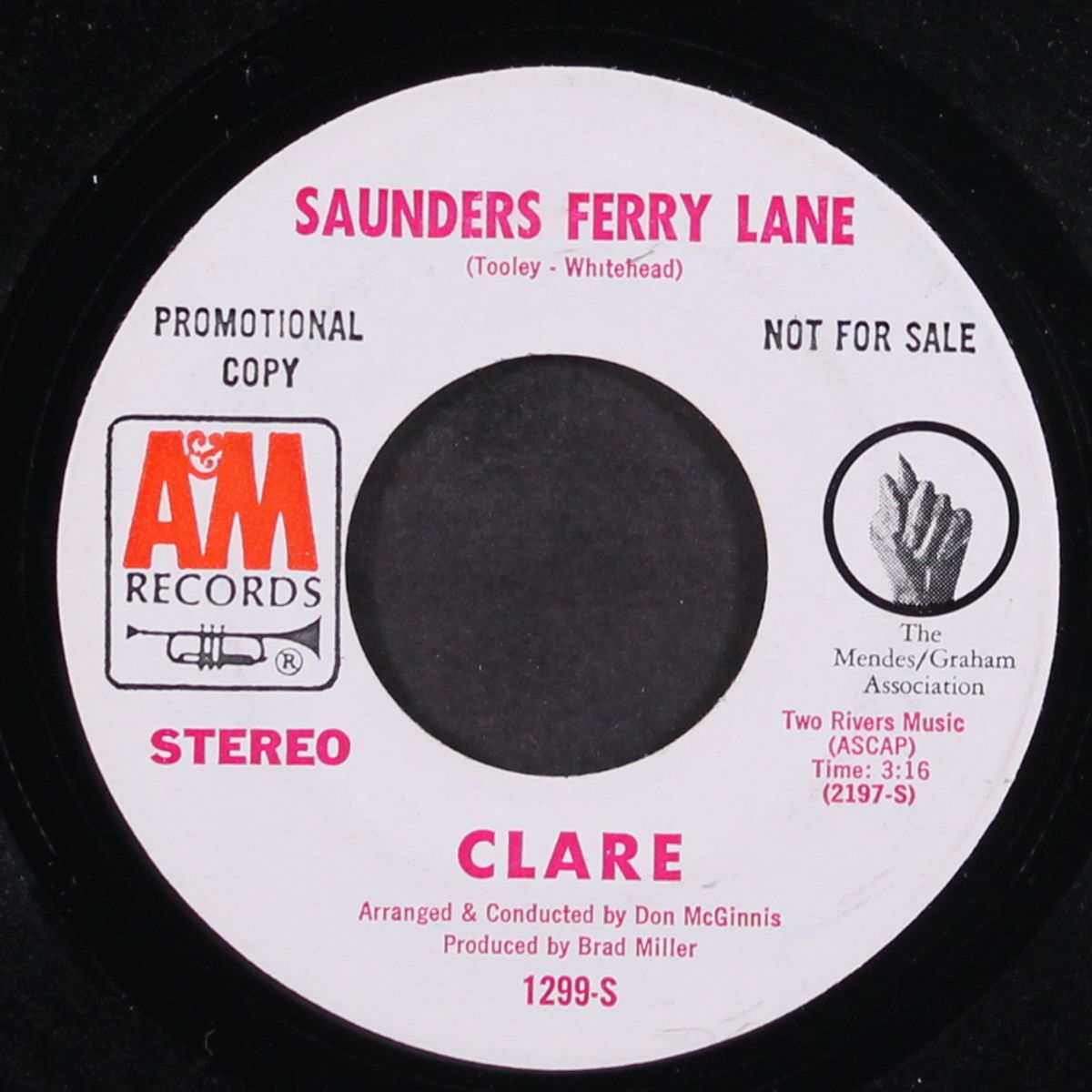 saunders ferry lane / mono by CLARE